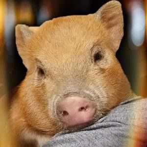 Meet your Posher, Laura